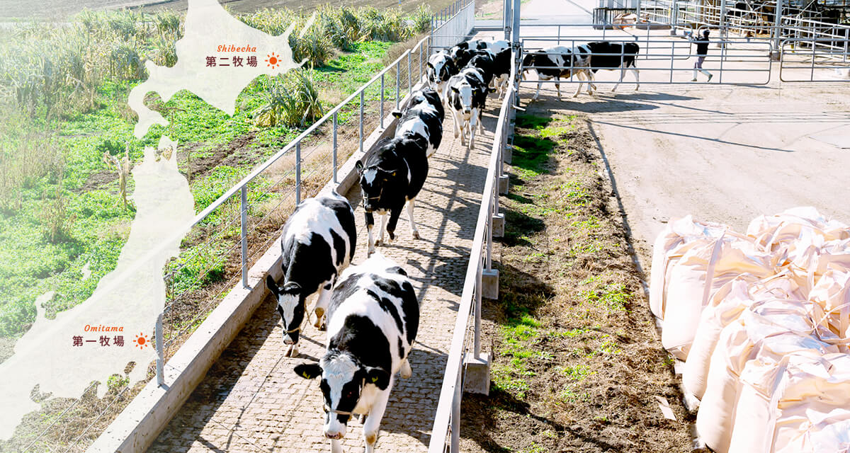 株式会社SUN-FARM 野村牧場